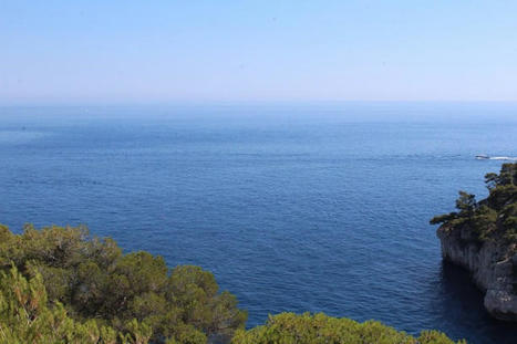 « Hallucinant » : la mer Méditerranée est à 28,71 °C | Toxique, soyons vigilant ! | Scoop.it