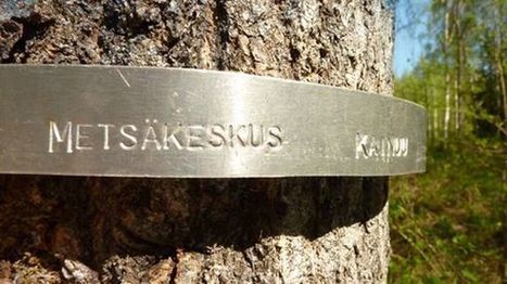 Suomen mets&auml;keskus v&auml;hent&auml;&auml; v&auml;ke&auml;&auml;n &ndash; s&auml;&auml;st&ouml;tarve t&auml;lle vuodelle 1,75 miljoonaa | 1Ei lakastunut lehti | Scoop.it