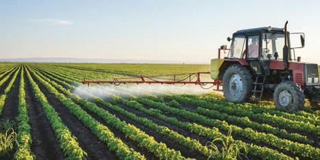 MAROC : Agriculture : Berkane a abrité une journée dédiée à l’agriculture de précision | CIHEAM Press Review | Scoop.it