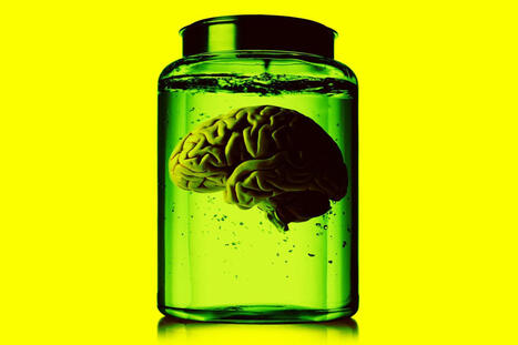 Lab-Grown Brains Growing More Powerful | The Health Report | Scoop.it