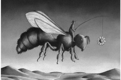 La pilule philosophique. &Agrave; quoi peuvent bien penser les fourmis&thinsp;? | EntomoScience | Scoop.it
