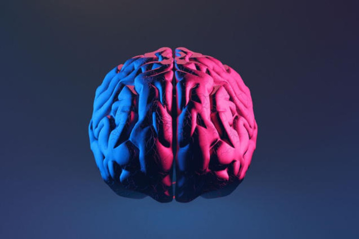 'Your cognitive peak isn't in your 20s': A landmark study just demolished everything we thought about brain ageing | The Health Report | Scoop.it