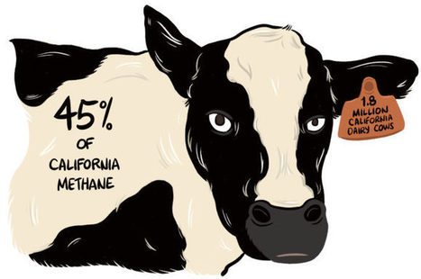Querelles sur l'impact de la Californie laitière sur le climat | Lait de Normandie... et d'ailleurs | Scoop.it