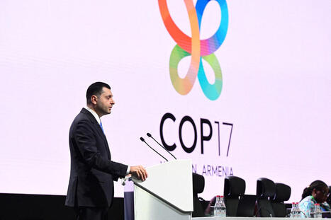COP biodiversit&eacute;&nbsp;: les &laquo;&nbsp;subventions n&eacute;fastes&nbsp;&raquo; &agrave; la nature au centre des n&eacute;gociations | veille th&eacute;matique | Scoop.it