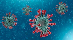 FDA Authorizes First Direct-to-Consumer COVID-19 Test | In-Vitro Diagnostic | Scoop.it