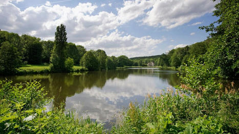 Val-d'Oise : les agglomérations au chevet des forêts domaniales | Environnement, paysage et biodiversité | Scoop.it