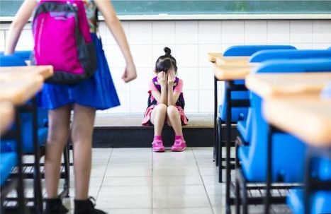 Retrato del acosador y de la víctima de "bullying" ⋆ | Educación, TIC y ecología | Scoop.it