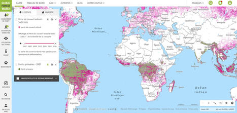 Cartographie numérique - Blog contributif | Biodiversité | Scoop.it