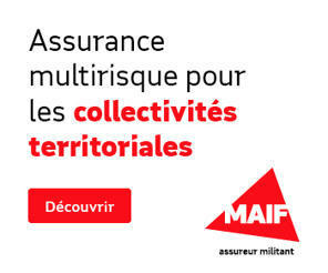 Élections départementales et régionales : les règles d'organisation des scrutins | Veille juridique du CDG13 | Scoop.it