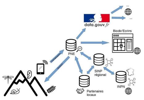 Le Parc national des Écrins déconfine ses données de biodiversité | Biodiversité | Scoop.it
