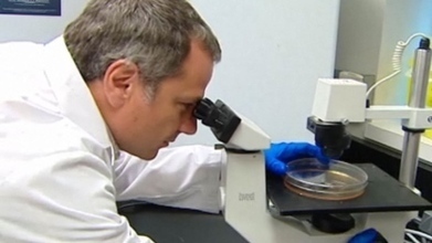 Ebola outbreak: ZMapp protects sick monkeys | Plant Molecular Farming | Scoop.it