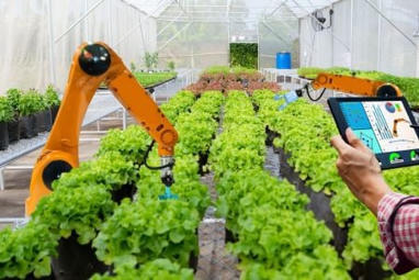 Afrique : "Les financements des start-up agrifoodtech africaines ont augment&eacute; de 30% en 2025 (AgFunder)" | Revue de Presse Afrique & PMO anglophone ou lusophone par service international de CCI Normandie | Scoop.it