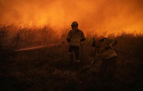 Portugal : Une quarantaine de feux de forêts mobilisent encore 4.000 pompiers | Biodiversité - @ZEHUB on Twitter | Scoop.it