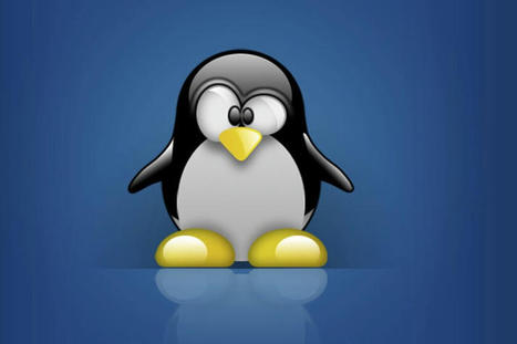 Las 12 mejores curiosidades de Linux tras más de 30 años de existencia | tecno4 | Scoop.it