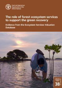 The role of forest ecosystem services to support the green recovery FAO | Ecosystèmes Tropicaux | Scoop.it