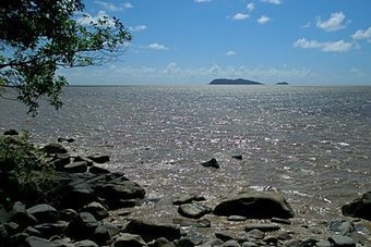 La planète revisitée - Expédition française en Guyane | Biodiversité | Scoop.it