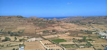 Malta unable to solve EU organic conundrum | EUROPES | Scoop.it