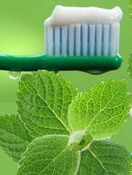 Autoprodurre il dentifricio alla menta | Rimedi Naturali | Scoop.it