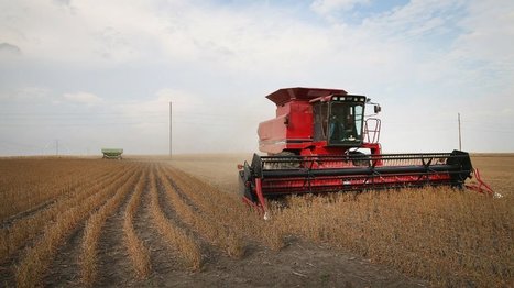 États-Unis : les effets dévastateurs du dicamba, le dernier pesticide de Monsanto - France 24 | Les Colocs du jardin | Scoop.it