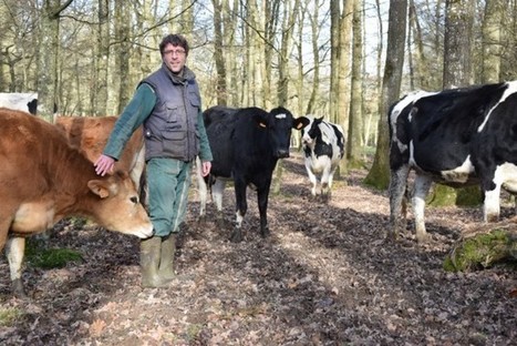 Avec sa vidéo sur le bien-être animal, un agriculteur de Cintray cartonne sur le web | Elevage et société | Scoop.it