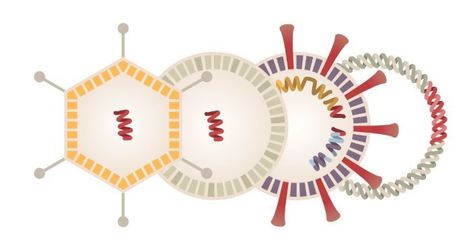 Coronavirus Vaccine Tracker  | dis.infected | Scoop.it