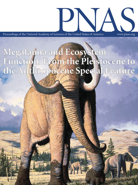 PNAS Special Feature Megafauna and Ecosystem Function | Biodiversité | Scoop.it