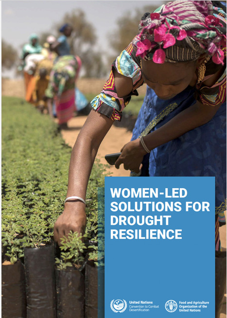 Women-led solutions for drought resilience | Women and Gender Studies | Scoop.it
