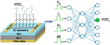 Electronic nose with artificial sensing intelligence | Latest Social Media News | Scoop.it