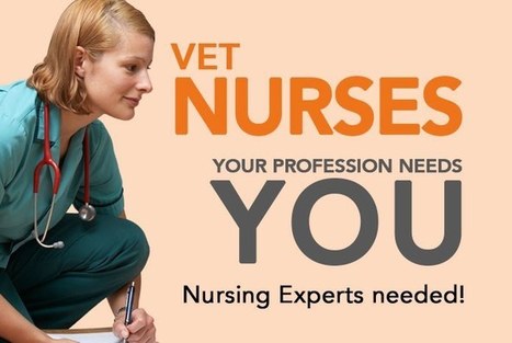 Expert veterinary nurses needed! - VetNurse News - Site Root - Vet Nurse | CME-CPD | Scoop.it