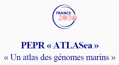 France 2030 - PEPR ATLASea : "Un atlas des génomes marins" - appel à projets 2025 | Life Sciences Université Paris-Saclay | Scoop.it