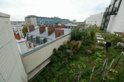 Végétalisation, rooftops branchés: Paris à la conquête de ses toits-terrasses | Paysage - Agriculture | Scoop.it