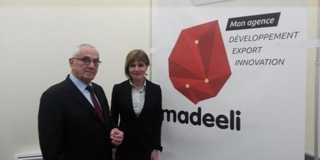La nouvelle agence de développement économique de Midi-Pyrénées s'appelle Madeeli | La lettre de Toulouse | Scoop.it