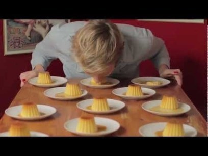 CV vid&eacute;o : les ing&eacute;nieurs n'ont pas (encore?) la bobine de l'emploi | Recrutement l'Information | Scoop.it