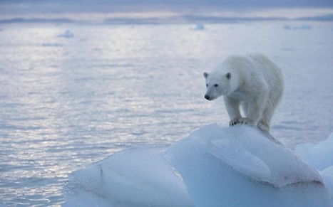 Scandale scientifique : l’ajustement des températures au service de la peur du réchauffement et la question de la fonte des glaces arctiques | Koter Info - La Gazette de LLN-WSL-UCL | Scoop.it
