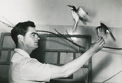 Luc Hoffmann - «L'homme veut toujours obtenir de la Terre, plus qu'elle ne peut donner» | Camargue Nature | Scoop.it