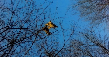 Intemperie | Reflejos | Scoop.it