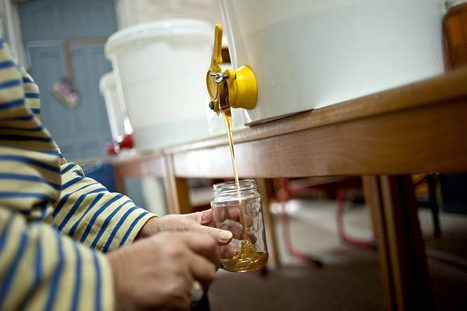 Miel : est-ce que sucrer, c’est tromper ? | Variétés entomologiques | Scoop.it