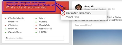 GooglePlus Helper: Posts you see in your Google+ Home stream | GooglePlus Expertise | Scoop.it