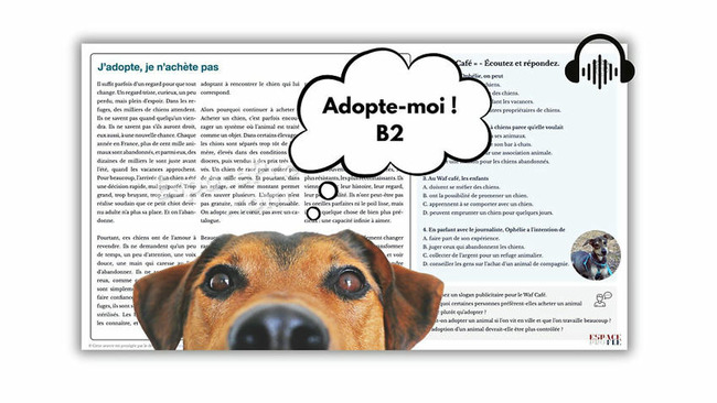 J’adopte, je n’achète pas (B2) | POURQUOI PAS... EN FRANÇAIS ? | Scoop.it