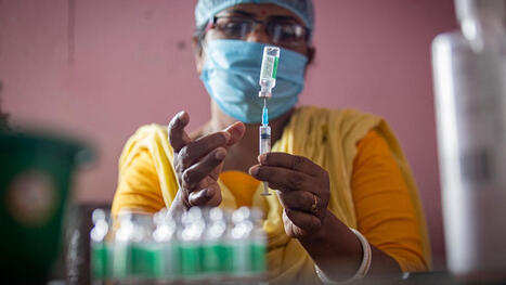 Scientists Explore Turning Mosquitoes into "Flying Vaccines" | Pascal Barollier | Immunology and Biotherapies | Scoop.it