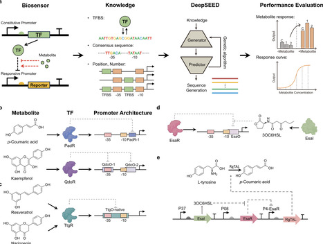 Deep Learning and Domain Expertise for Fabricating High-Performance Biosensors | acs | RMH | Scoop.it