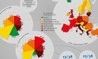Surveillance reports and disease data on seasonal influenza | Virology News | Scoop.it
