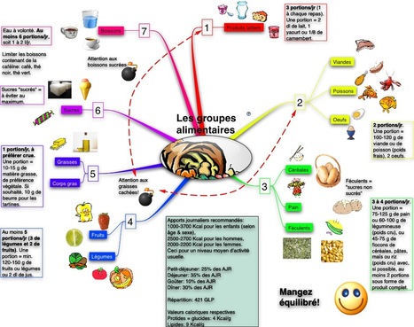 NovaMind Mind Map Branch: Les groupes alimentaires | Cartes mentales | Scoop.it