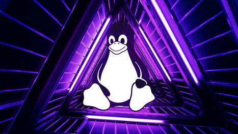 New Linux kernel NetFilter flaw gives attackers root privileges | ICT Security-Sécurité PC et Internet | Scoop.it