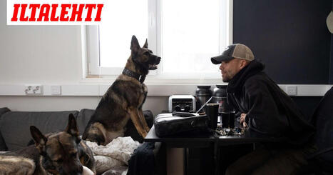 IS: N&auml;in Matias Pet&auml;ist&ouml; kommentoi koiransa kohauttanutta k&auml;yt&ouml;st&auml; | 1Uutiset - Lukemisen t&auml;hden | Scoop.it