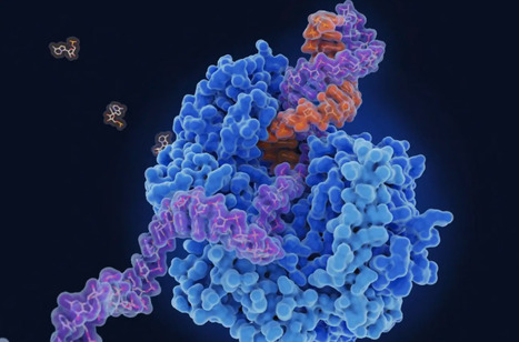 Multipurpose Anti-viral Pill may Treat Colds, Norovirus, Flu and Covid | Virus World | Scoop.it