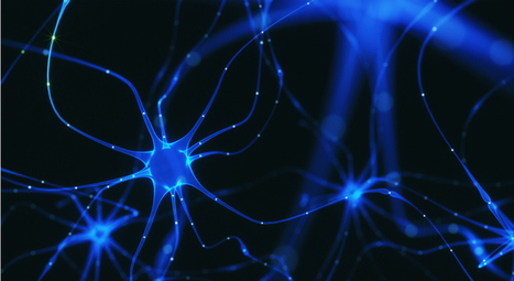 How are Psychiatric Disorders Linked to Infections During Pregnancy? | Virus World | Scoop.it