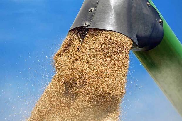 L'Algérie se positionne pour l'achat de 360 000 tonnes de blé tendre