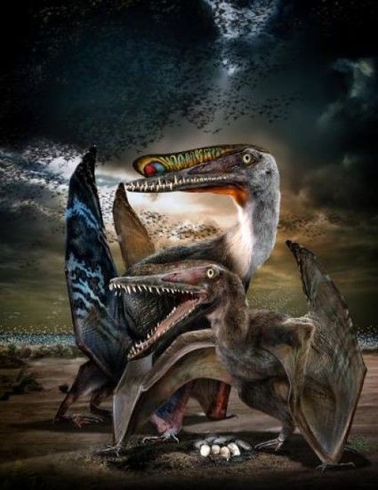 En bref : des œufs fossiles dévoilent la vie grégaire des ptérosaures | 21st Century Innovative Technologies and Developments as also discoveries, curiosity ( insolite)... | Scoop.it