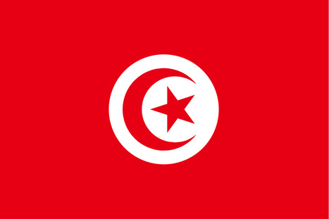 TUNISIE: Travail informel : 45% des actifs &eacute;chappent encore &agrave; la s&eacute;curit&eacute; sociale | Protection sociale | Scoop.it